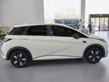 海豚 2025款  智驾版 410km 时尚版_高清图5