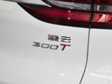 星途凌云 2025款  300T 星耀两驱版_高清图9