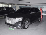 奥迪Q5 e-tron 2023款  40 e-tron 闪耀型 锦衣套装_高清图1