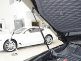 添越 2024款  4.0T V8 长轴距版_高清图5