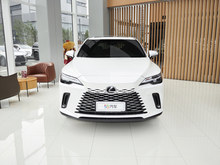 2025 ׿˹RX 300 