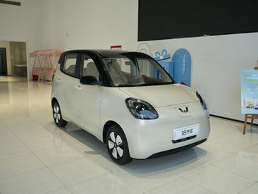 MINI EV