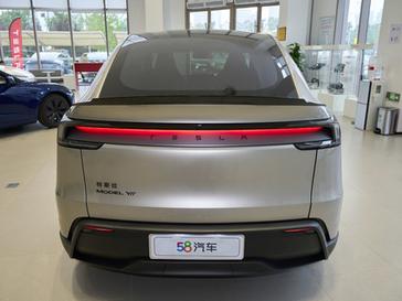 Model Y L