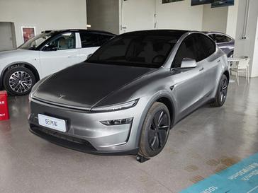 Model Y^D