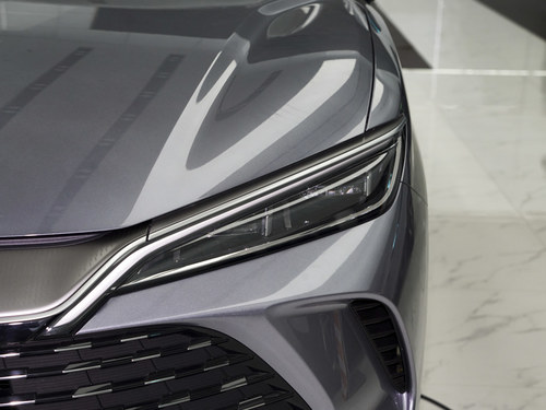 ���ǵ���L DM-i�������װ