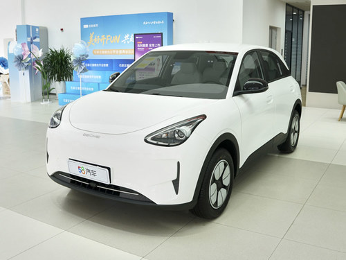 2026款 星愿 310km 青春版