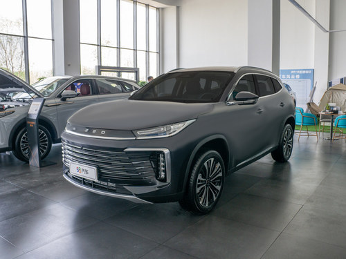 2024款 星途凌云 300T 两驱王者版