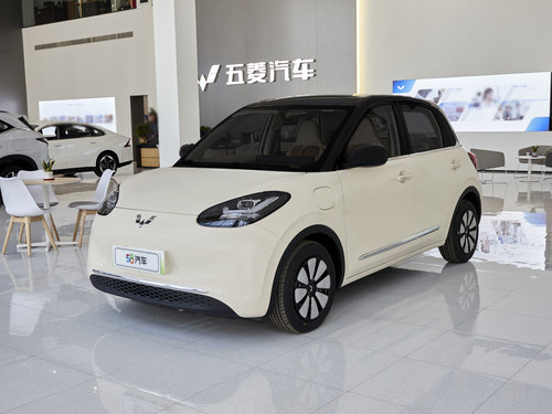 2025款 五菱缤果 333km 灵犀互联款