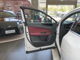 雷克萨斯NX 2026款  200 绝色限定版_高清图4