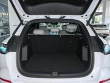 2026�� ��ʨ06 DM-i 310Զ����