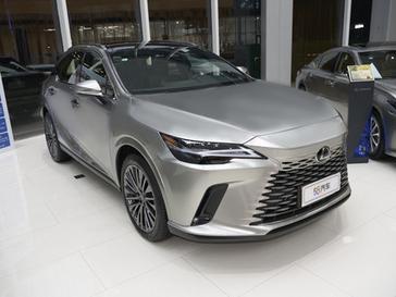 �׿���˹RX����