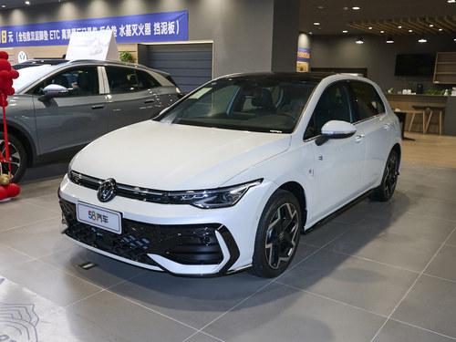 2026款 高尔夫 300TSI Pro