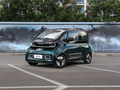 2021款 宝骏KiWi EV 艺术家 三元锂