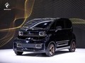 2021款 宝骏KiWi EV 艺术家 磷酸铁锂