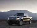 2009款 福特F-150 Platinum