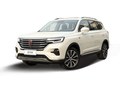 2020款 荣威RX5 MAX新能源  500PHEV 智能座舱旗舰版