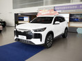 2025款 风云T8 1.5T 130km 豪华版5座