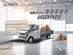 2021款 启腾N30 1.25L基本型单排仓栅