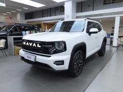 2026款 哈弗大狗 PLUS 新能源 Hi4 150km 潮电版