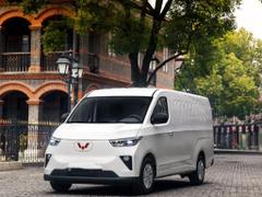 2024款 五菱扬光 300KM 舒适型客车版 75kW