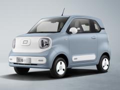 2025 С 222km 