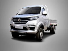 2021款 鑫源T50S 1.6L标准型CNG 200L SWDC16M