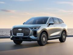 2026款 瑞虎9 2.0T 双离合两驱舒享版