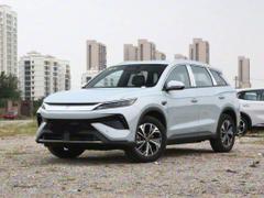 2026款 宋Pro新能源 DM-i 133KM超越型