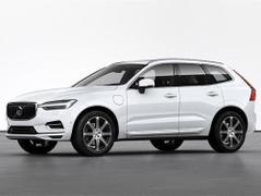 2023款 沃尔沃XC60新能源 T8 插电混动 长续航四驱智远运动版