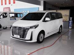 2025款 大通G10 MAX 2.0T 自动行政版 汽油 7座