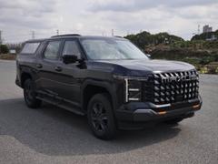 2025款 星际X SUV 标准版