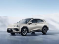 2026款 宝骏云海 600km 纯电标准版