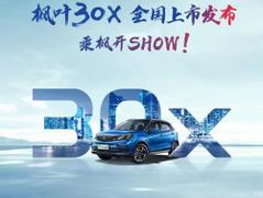 2020款 睿蓝枫叶30X 智行版