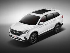 2020款 风行T5L 改款 1.5T 自动豪华型 7座