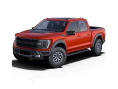 2023款 福特F-150 3.5T 猛禽傲雪冰晖特别版