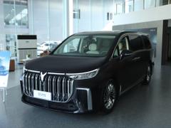 2024款 梦想家 PHEV 超长续航旗舰版