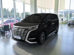 2025款 腾势D9 DM-i 智驾版 1100 豪华型