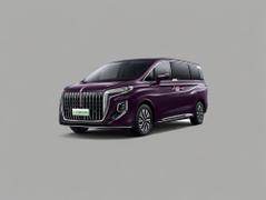 2024款 红旗HQ9 PHEV 2.0T 四驱旗舰版