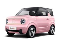 2023款 熊猫mini 120km 超萌熊