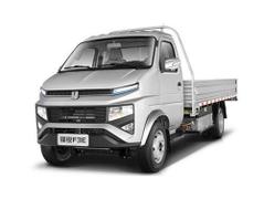 2022款 远程锋锐 F3E栏板车国轩57.6kWh