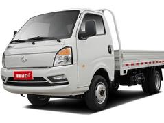 2021款 跨越者D5 1.8L舒适版单排仓栅双后轮3400mm货箱