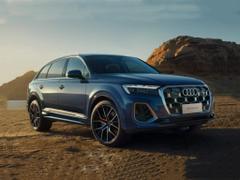 2024款 奥迪Q7 45 TFSI quattro S line黑武士型