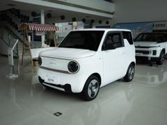 2023款 熊猫mini 200km 灵动熊