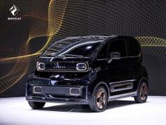 2022款 宝骏KiWi EV 设计师 轻享版 三元锂