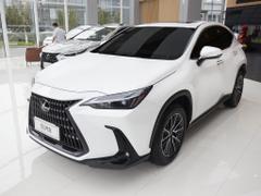 2025款 雷克萨斯NX 260 前驱 十周年特别限量版