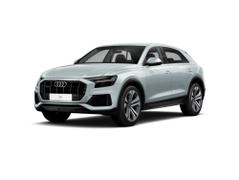 2023款 奥迪Q8 55 TFSI 尊享动感型