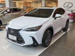 2026款 雷克萨斯NX 200 绝色限定版