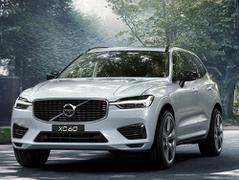 2020款 沃尔沃XC60 T5四驱智远运动版