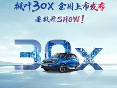 2020款 睿蓝枫叶30X 风华版