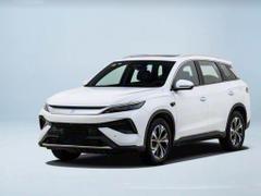 2026款 宋Pro新能源 DM-i 220KM超越型